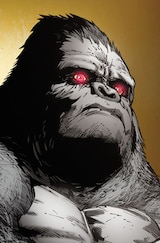 Gorilla Grodd