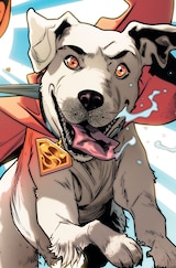 Krypto