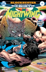 NIGHTWING #25