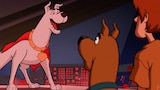 Scooby-Doo! And Krypto, Too! - "A Superdog"